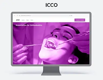 Website Desigin für ICCO