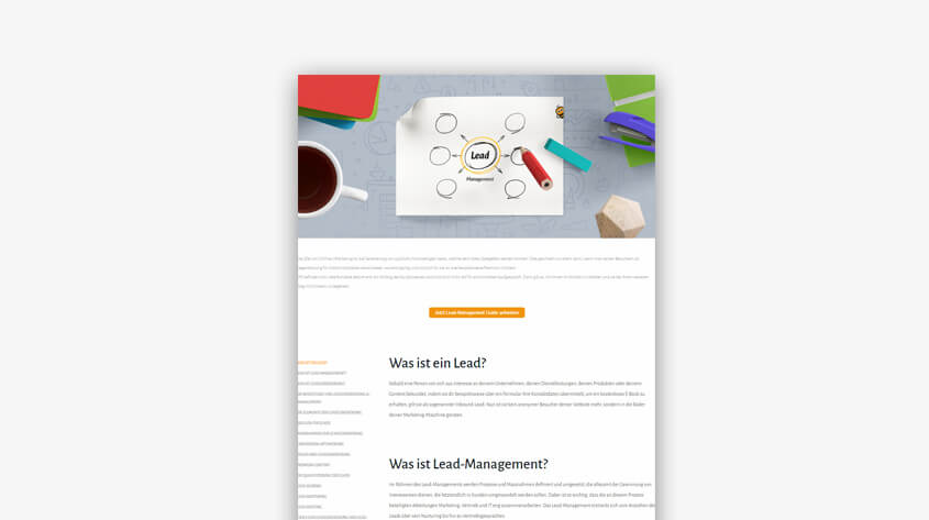 guide_bee_leadmanagement